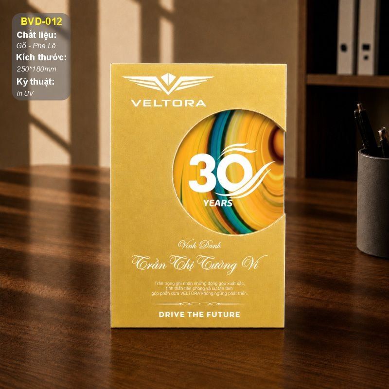 Bảng vinh danh cao cấp BVD-012 (3 Màu)