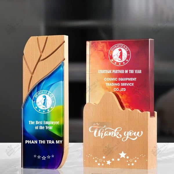 Kỷ niệm chương pha lê gỗ nhiều màu sắc CB026