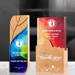 Kỷ niệm chương pha lê gỗ nhiều màu sắc CB026