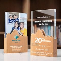 Kỷ niệm chương pha lê gỗ nhiều màu sắc CB026