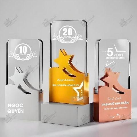 Kỷ niệm chương pha lê gỗ CB027-02 (3 màu)