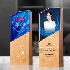 Cúp pha lê gỗ nhiều màu sắc CB031