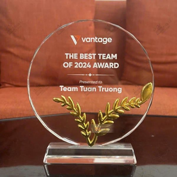 Kỷ niệm chương vinh danh nhân viên HMT15-02 (3 size)