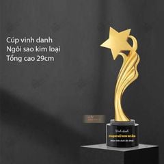 Cúp vinh danh ngôi sao kim loại KL002