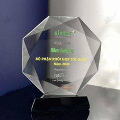 Kỷ niệm chương pha lê T097