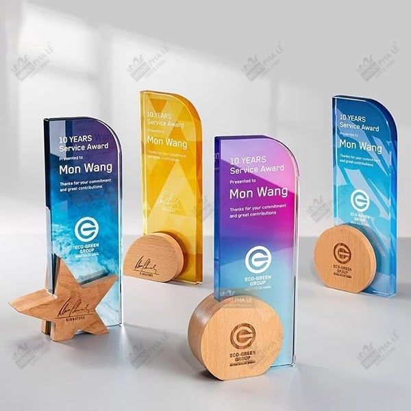 Cúp vinh danh pha lê gỗ VG11