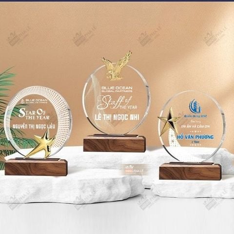 Kỷ niệm chương gỗ pha lê kim loại VG21