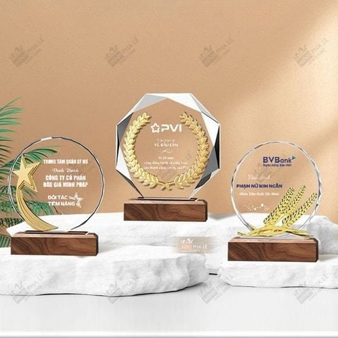 Kỷ niệm chương gỗ pha lê kim loại VG23