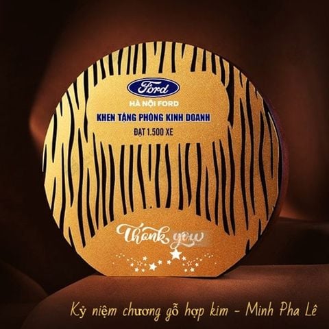 Kỷ niệm chương gỗ hợp kim VG59