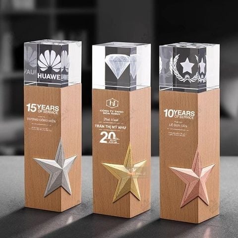 Cúp vinh danh gỗ pha lê kim loại VG61