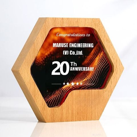 Kỷ niệm chương gỗ pha lê VG63