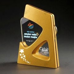Kỷ niệm chương gỗ pha lê VG65