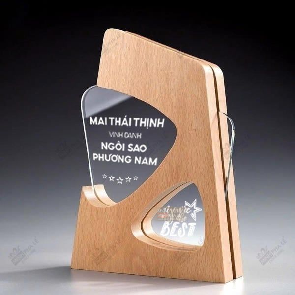 Kỷ niệm chương gỗ pha lê VG65