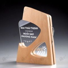 Kỷ niệm chương gỗ pha lê VG65