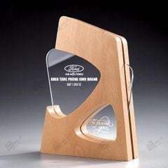 Kỷ niệm chương gỗ pha lê VG65