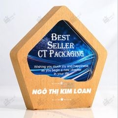 Kỷ niệm chương gỗ pha lê VG66