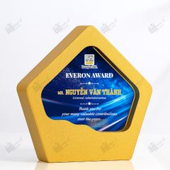 Kỷ niệm chương gỗ pha lê VG66