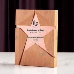 Kỷ niệm chương gỗ pha lê VG69