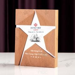Kỷ niệm chương gỗ pha lê VG69