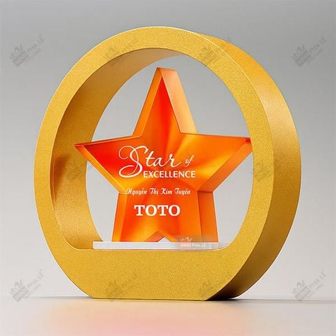 Kỷ niệm chương gỗ pha lê VG70
