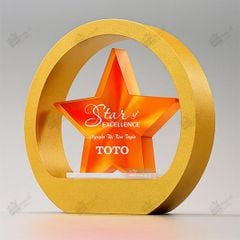 Kỷ niệm chương gỗ pha lê VG70