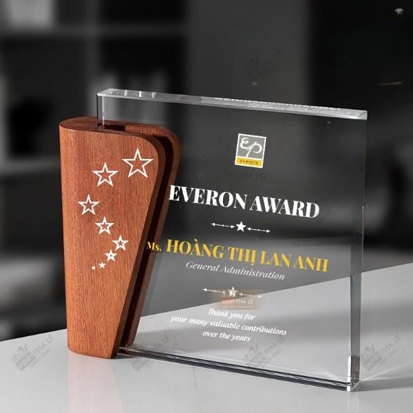 Kỷ niệm chương gỗ pha lê VG72
