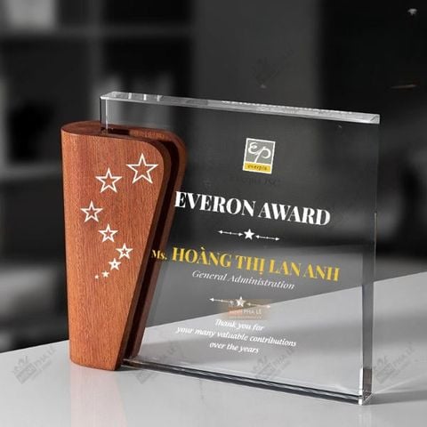 Kỷ niệm chương gỗ pha lê VG72