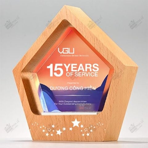 Kỷ niệm chương gỗ pha lê VG75