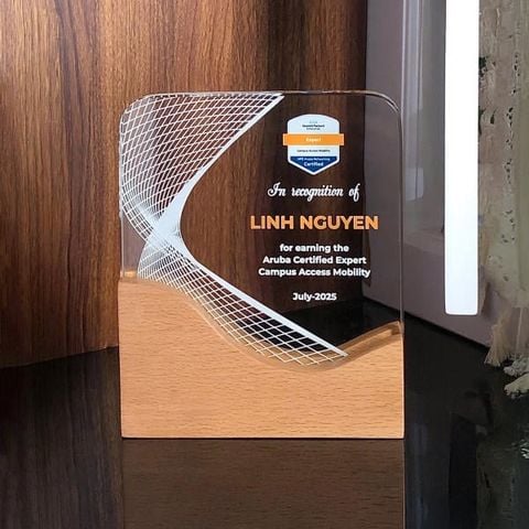 Kỷ niệm chương gỗ pha lê VG77 (2 size)