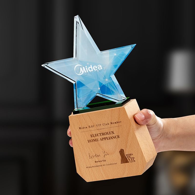 Cúp vinh danh pha lê đế gỗ VG78