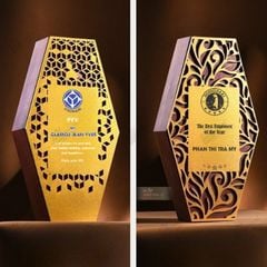 Cúp vinh danh gỗ hợp kim VG81