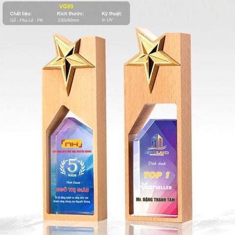 Cúp pha lê kết hợp gỗ VG89