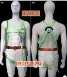  DÂY TOÀN THÂN 1 MÓC LỚN HP01 