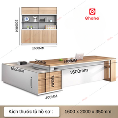 Trọn bộ gồm bàn giám đốc cao cấp và tủ hồ sơ Ohaha - BGD009
