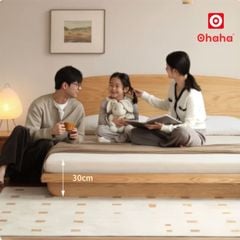 Giường ngủ bệt kiểu Nhật gỗ tự nhiên cao cấp OHAHA - GGTN015