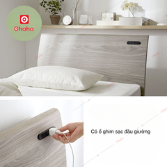 Giường ngủ hiện đại OHAHA  - GC068