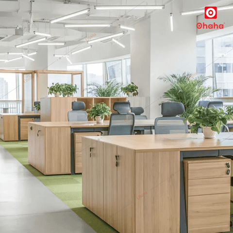 Thiết Kế Nội Thất Văn Phòng Hiện Đại OHAHA TKVP-OH0024