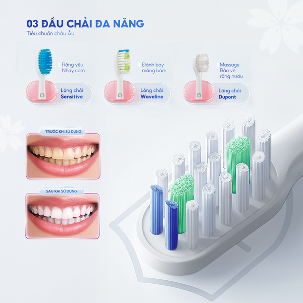 Bàn Chải Điện Chido CDSmile | Sóng Âm 42.000 Lần/Phút | 5 Chế Độ, 3 Đầu Bàn Chải | Pin 60 Ngày, Chống Nước IPX7