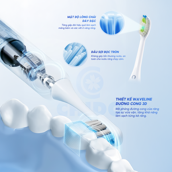 Bàn Chải Điện Chido CDSmile | Sóng Âm 42.000 Lần/Phút | 5 Chế Độ, 3 Đầu Bàn Chải | Pin 60 Ngày, Chống Nước IPX7