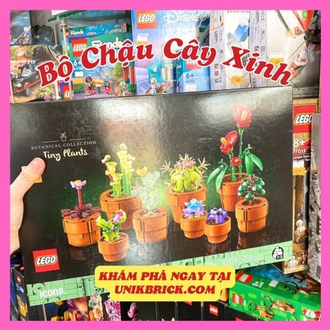  [CÓ HÀNG] LEGO Icons 10329 Tiny Plants Flower 