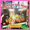 [CÓ HÀNG] LEGO Icons 10329 Tiny Plants Flower