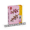 [CÓ HÀNG] LEGO 40725 Cherry Blossoms Flower Hoa Anh Đào