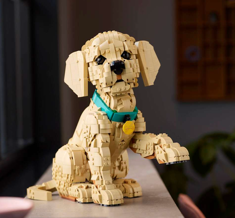  [HÀNG ĐẶT/ ORDER] LEGO® 11384 Icons Golden Retriever Puppy Đồ Chơi Lắp Ráp LEGO Chó Con Golden Retriever Dễ Thương Để Trưng Bày 