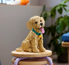 [HÀNG ĐẶT/ ORDER] LEGO® 11384 Icons Golden Retriever Puppy Đồ Chơi Lắp Ráp LEGO Chó Con Golden Retriever Dễ Thương Để Trưng Bày