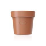  Chậu Hoa Lightstick G-Dragon Hoa Cúc Chính Hãng 