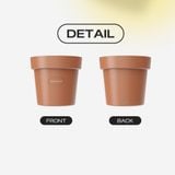  Chậu Hoa Lightstick G-Dragon Hoa Cúc Chính Hãng 