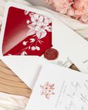 Duyên Tình Nồng Ấm
