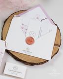 Hoa Đào Ngày Cưới