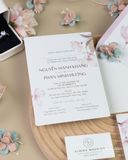 Sắc Hoa Dịu Dàng