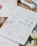 Bản Giao Hưởng Tình Yêu